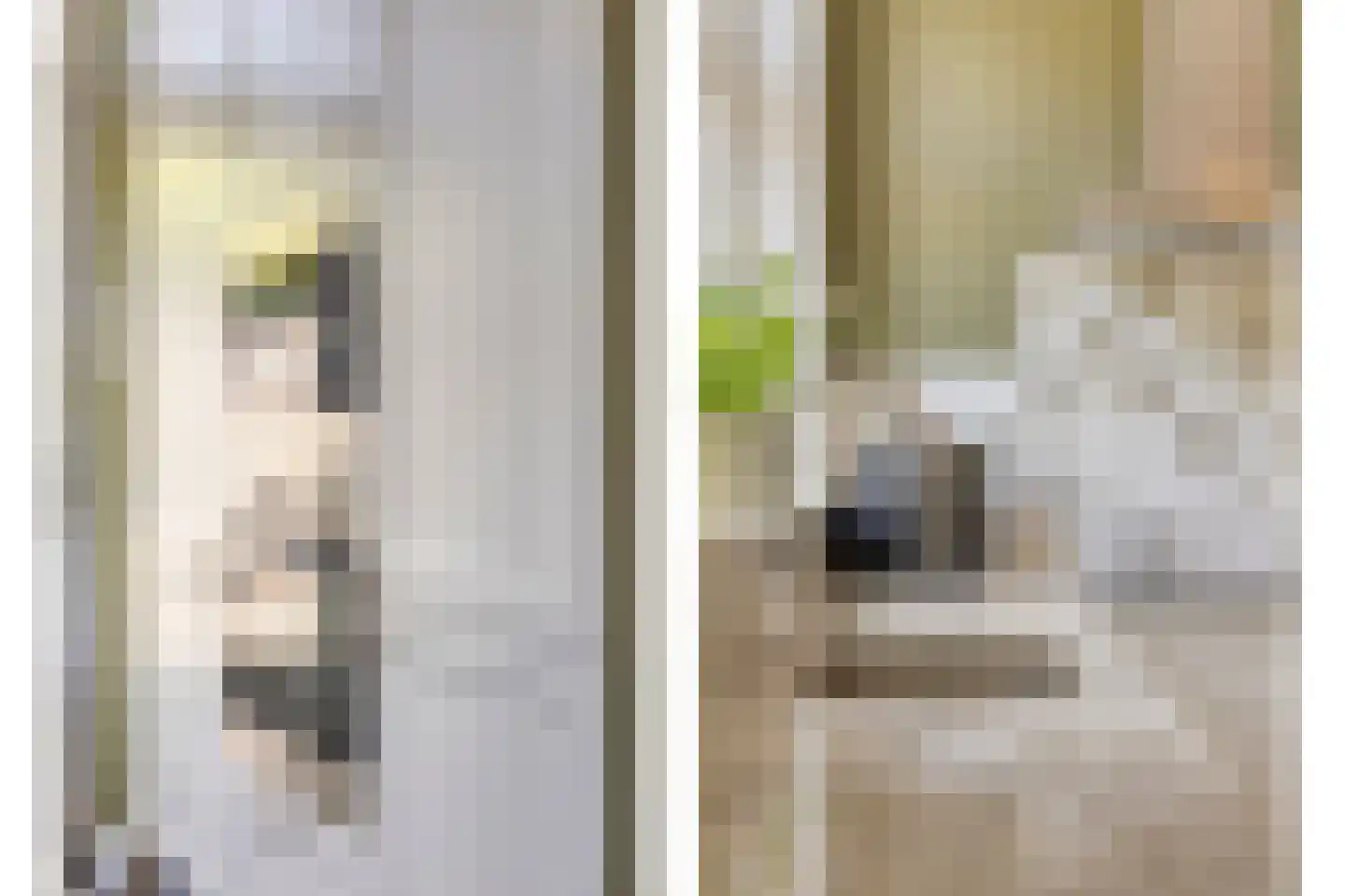 Boudewijn van Roonstraat 18 Arnhem thumbnail 19