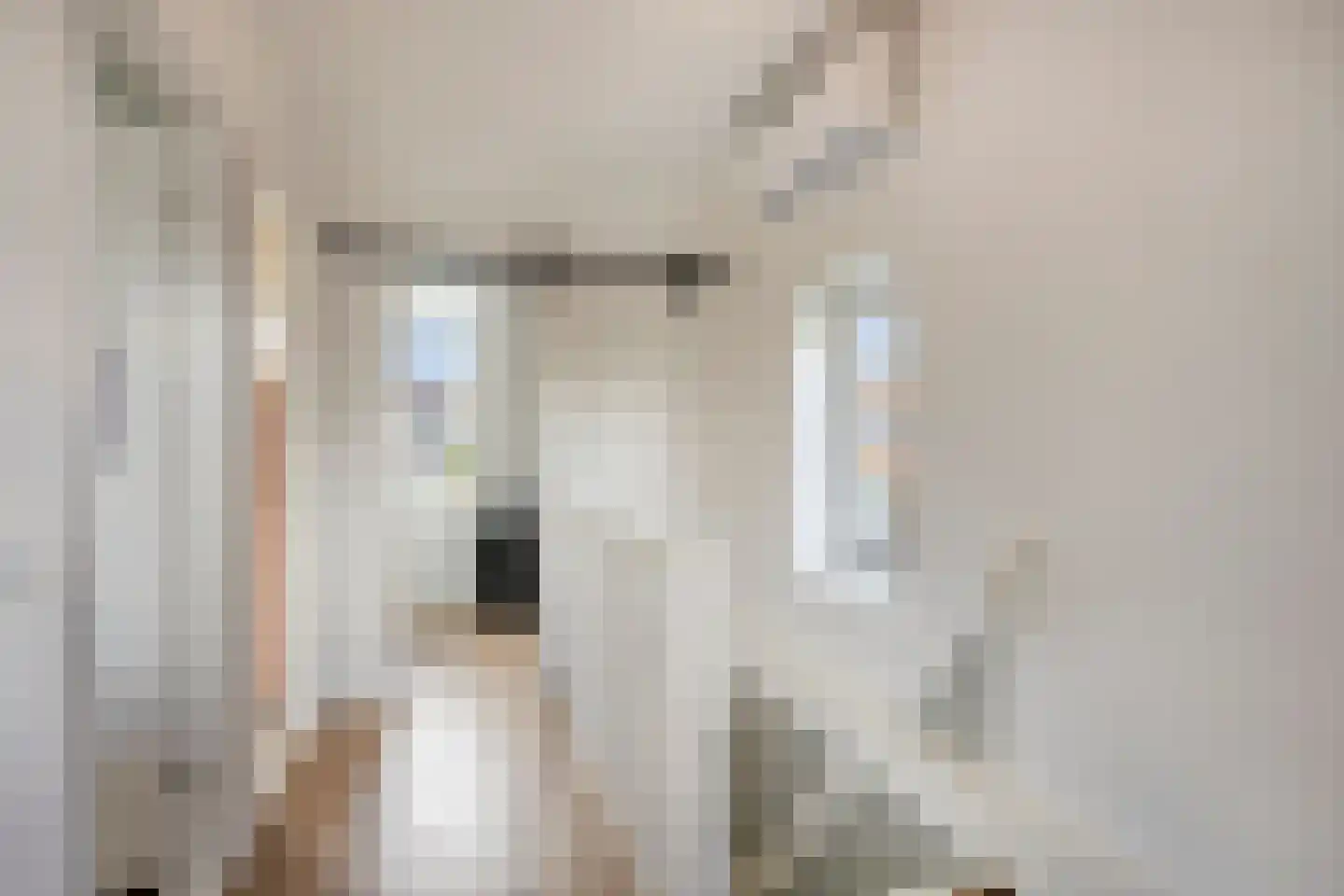 Boudewijn van Roonstraat 18 Arnhem thumbnail 31