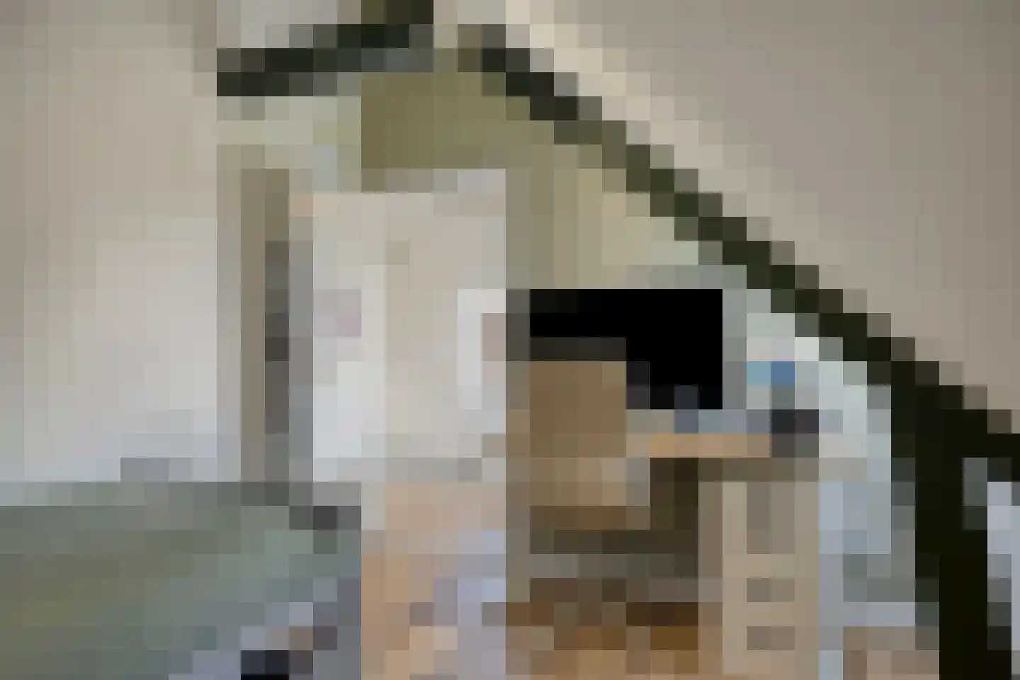 Boudewijn van Roonstraat 18 Arnhem thumbnail 37