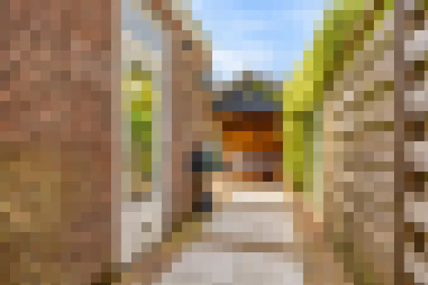 Boudewijn van Roonstraat 18 Arnhem thumbnail 38