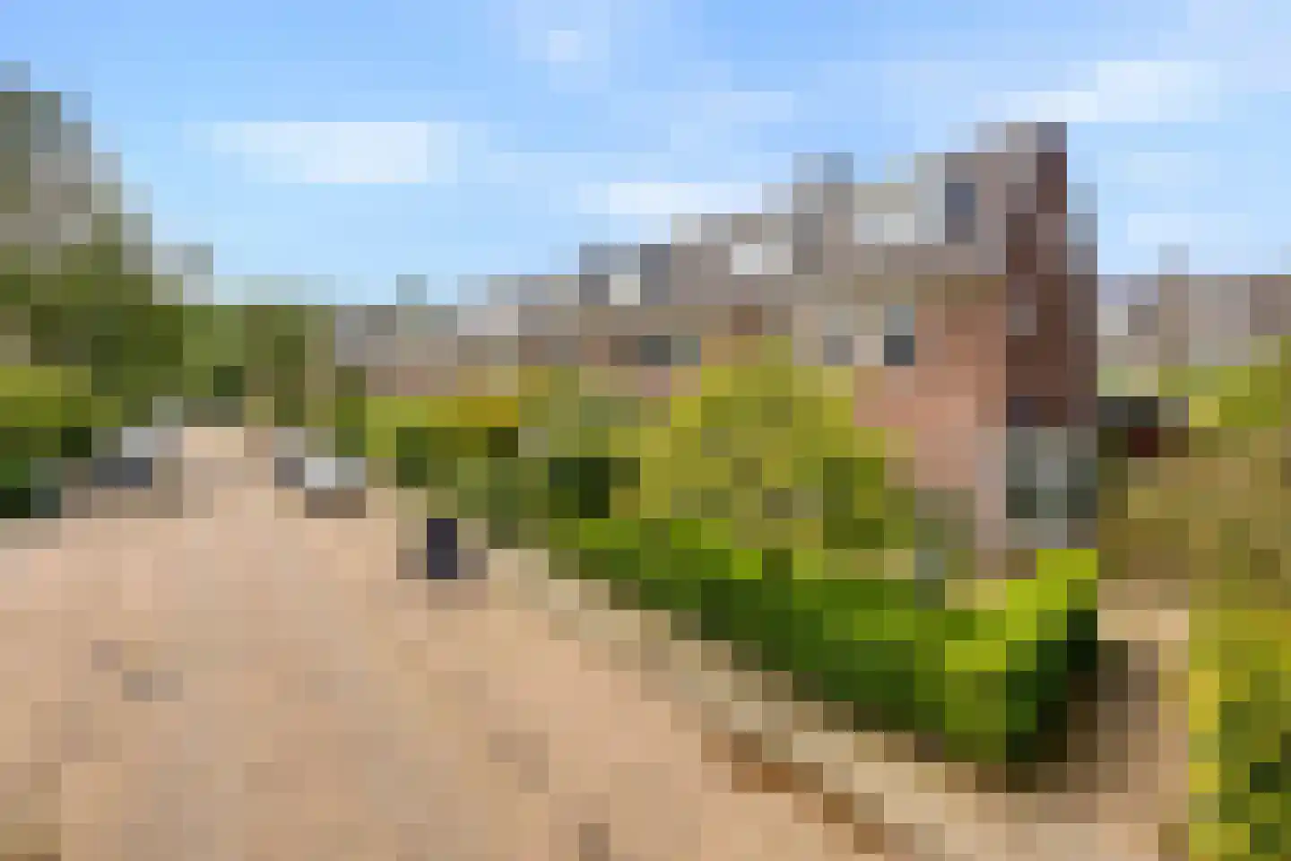 Boudewijn van Roonstraat 18 Arnhem thumbnail 4