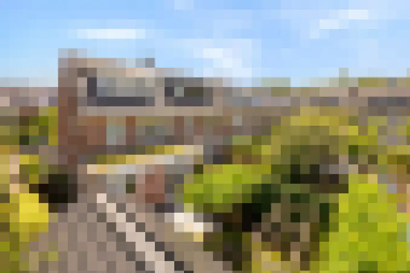 Boudewijn van Roonstraat 18 Arnhem thumbnail 46