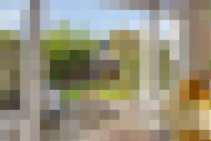 Boudewijn van Roonstraat 22 Arnhem thumbnail 23