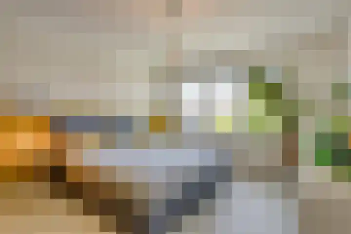 Boudewijn van Roonstraat 22 Arnhem thumbnail 26