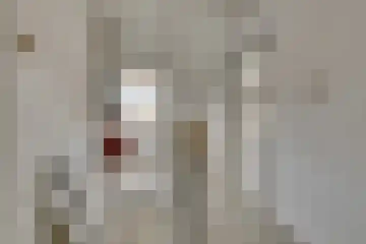 Boudewijn van Roonstraat 22 Arnhem thumbnail 36