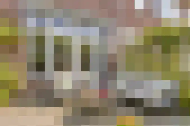 Boudewijn van Roonstraat 22 Arnhem thumbnail 46