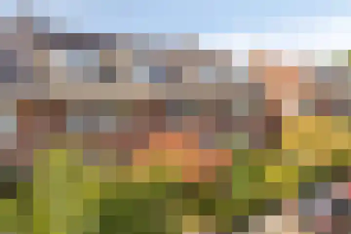 Boudewijn van Roonstraat 22 Arnhem thumbnail 52