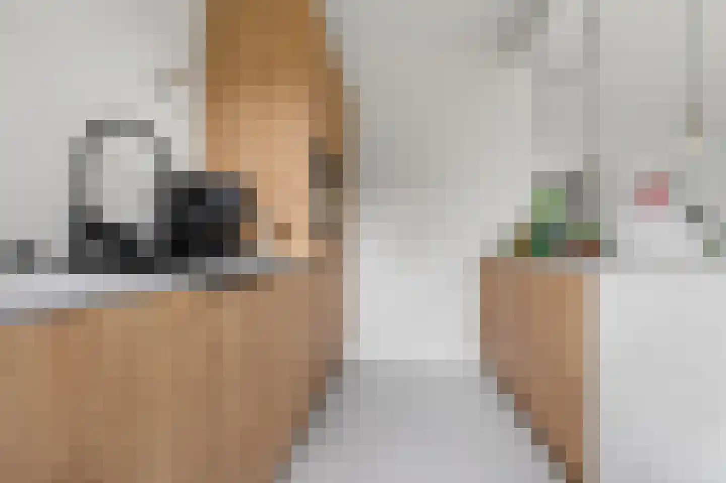 Boudewijn van Roonstraat 4 Arnhem thumbnail 11