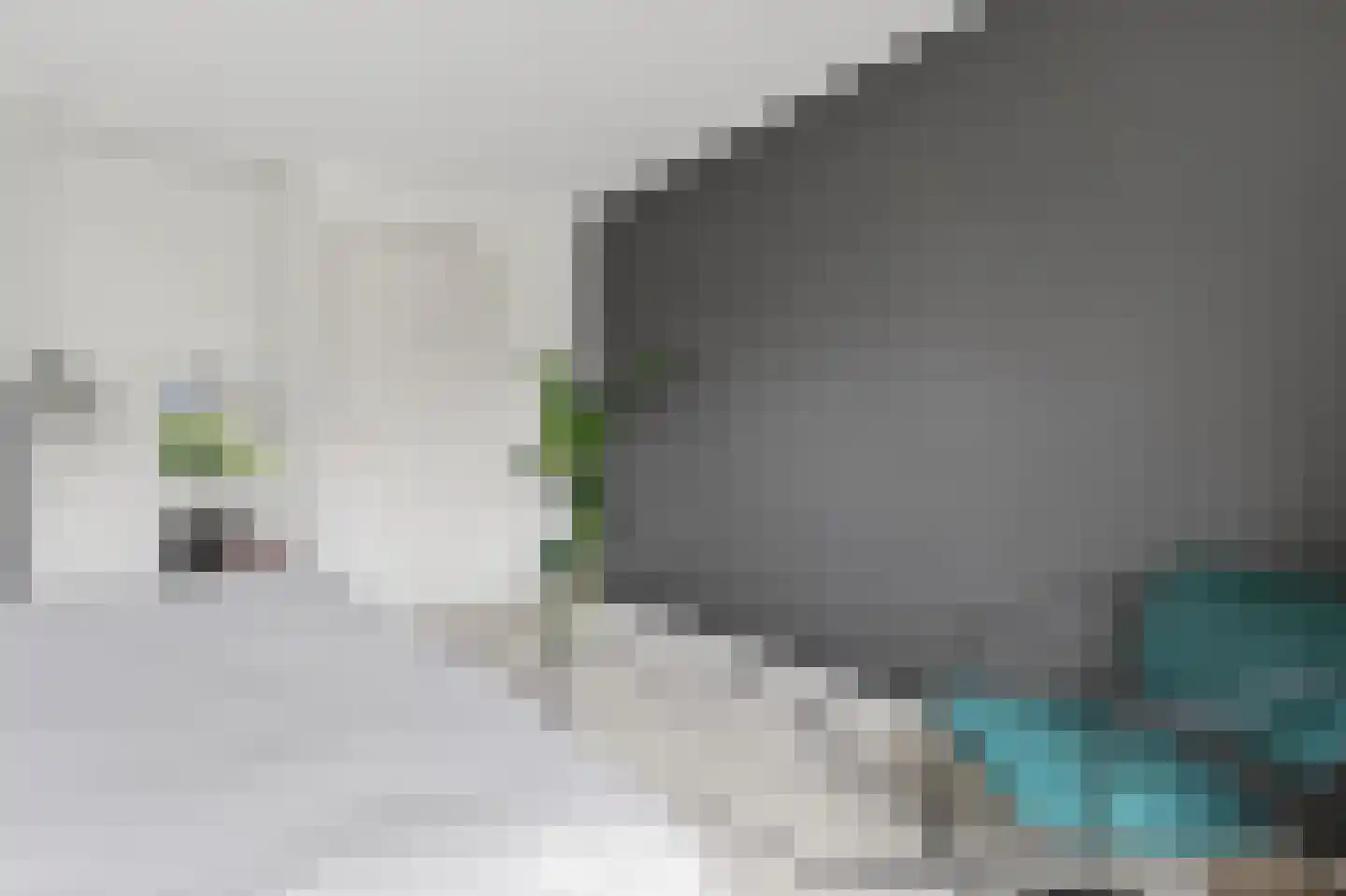 Boudewijn van Roonstraat 4 Arnhem thumbnail 20