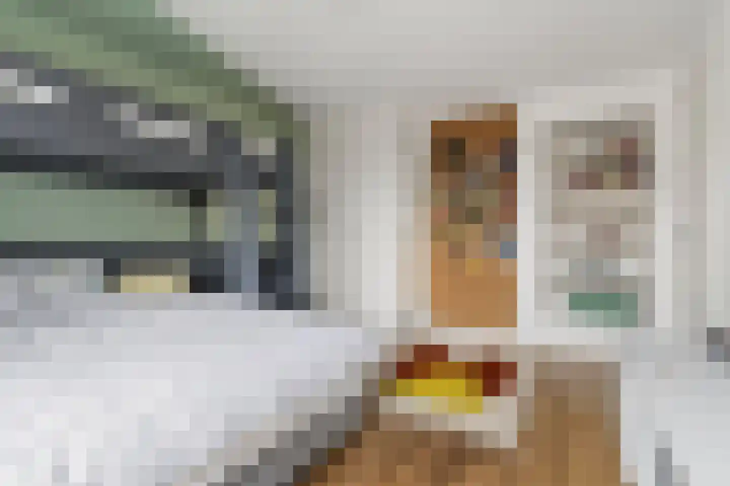 Boudewijn van Roonstraat 4 Arnhem thumbnail 22