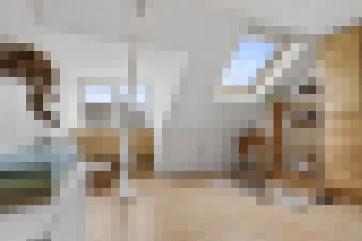 Boudewijn van Roonstraat 4 Arnhem thumbnail 31