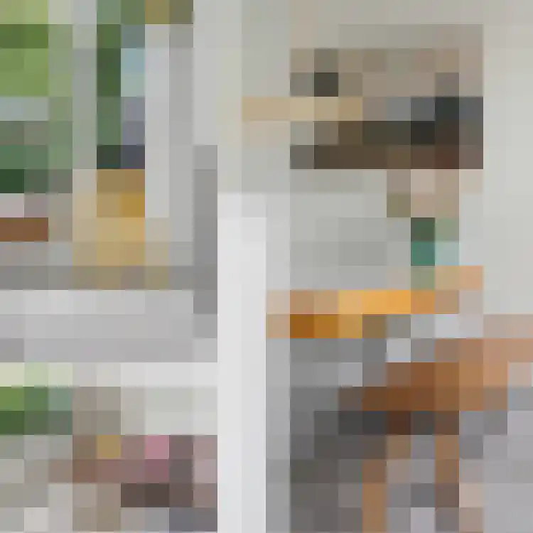 Boudewijn van Roonstraat 4 Arnhem thumbnail 8