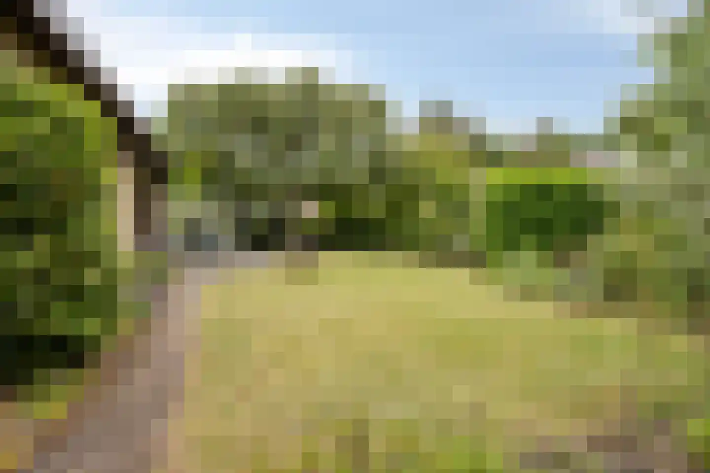 Boudewijndonk 8 Roosendaal foto 3