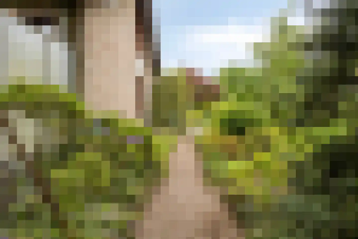 Boudewijndonk 8 Roosendaal thumbnail 34