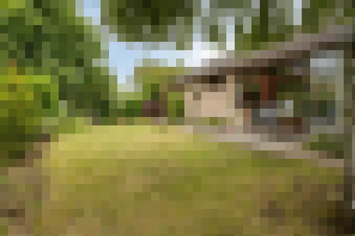 Boudewijndonk 8 Roosendaal thumbnail 38