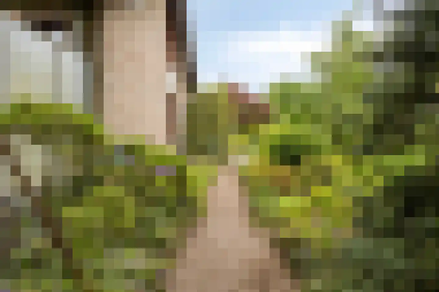 Boudewijndonk 8 Roosendaal thumbnail 39