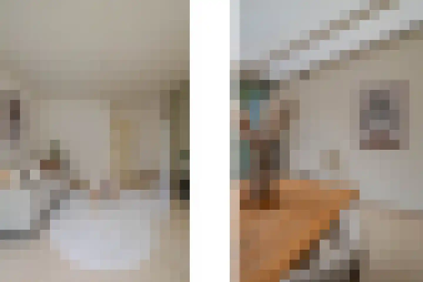 Boudewijnhof 8 Venray thumbnail 11
