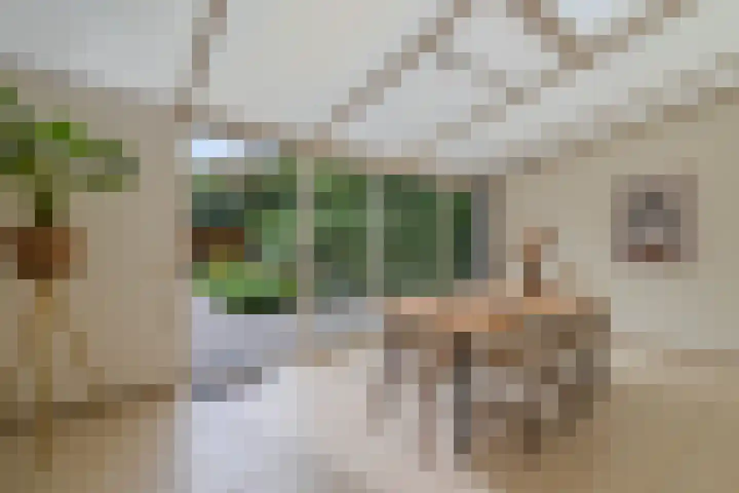 Boudewijnhof 8 Venray thumbnail 20