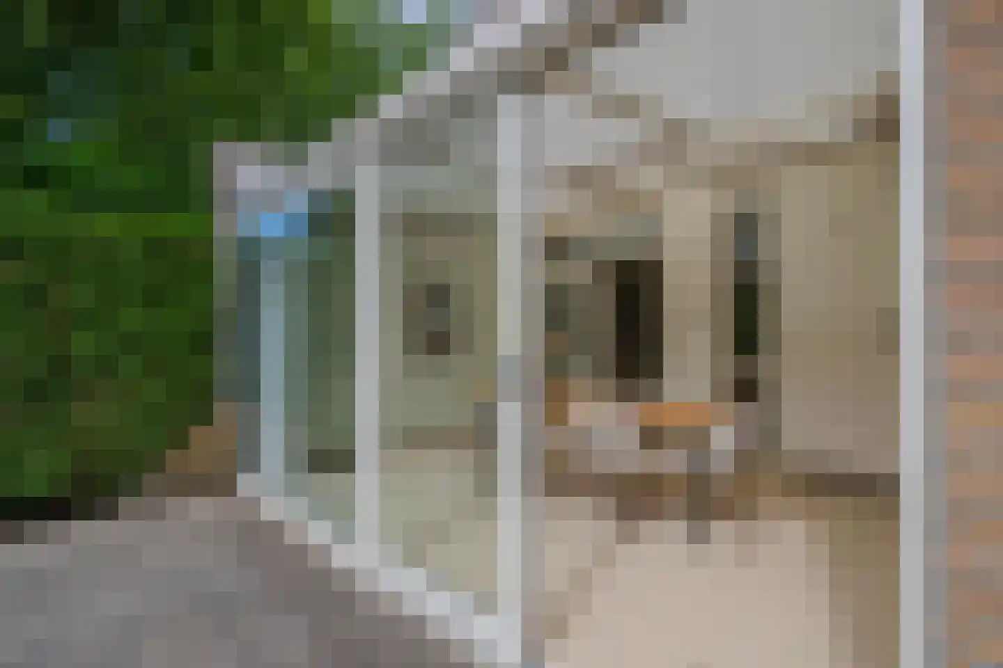 Boudewijnhof 8 Venray thumbnail 23