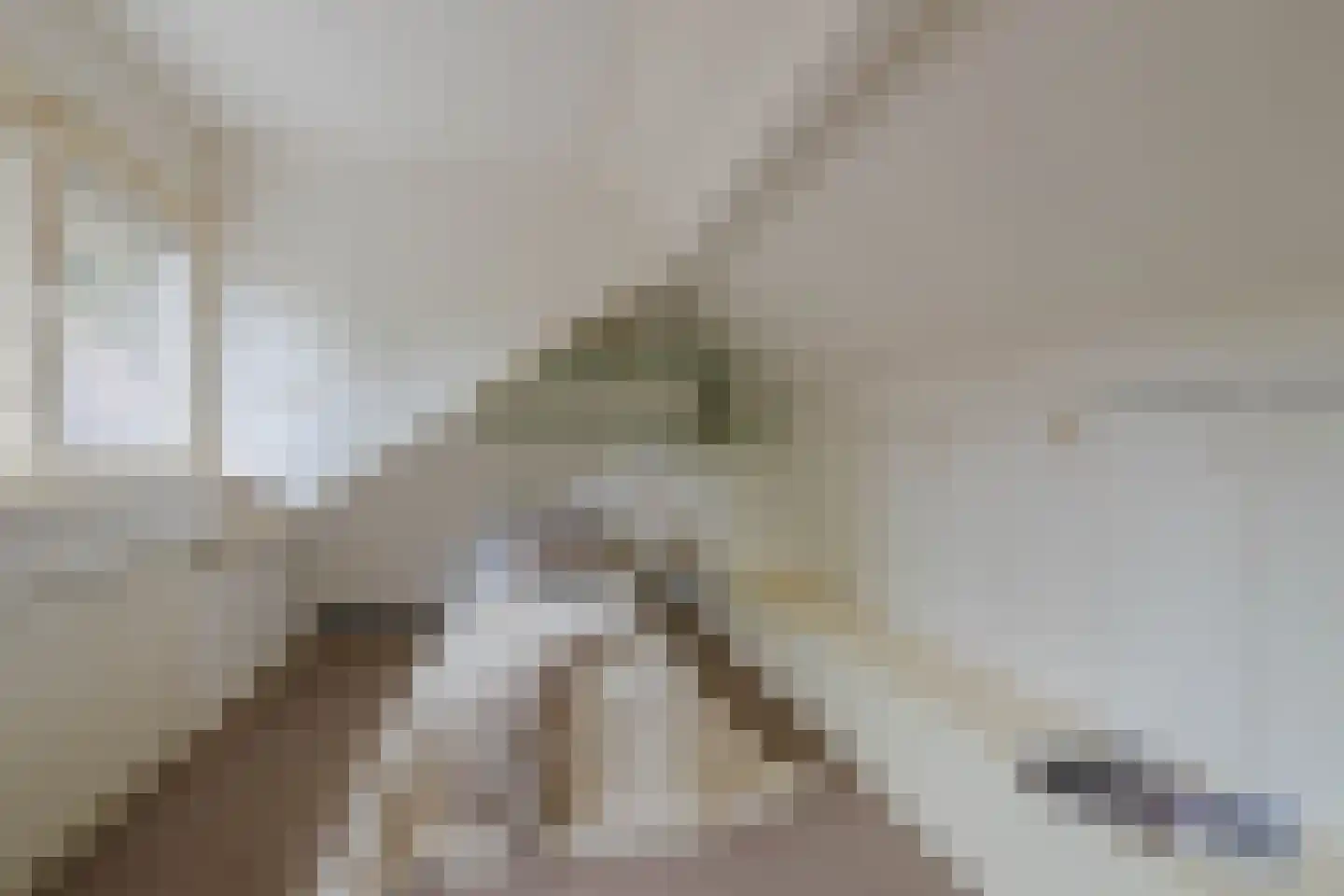 Boudewijnhof 8 Venray thumbnail 33