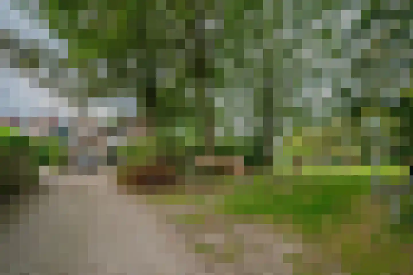 Boudewijnhof 8 Venray thumbnail 47