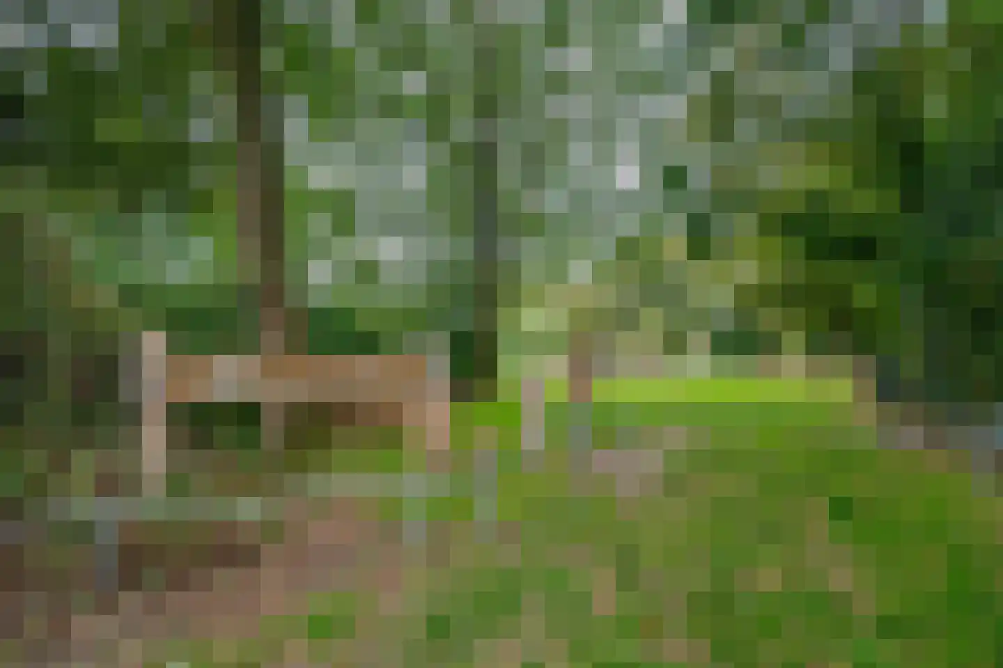 Boudewijnhof 8 Venray thumbnail 48