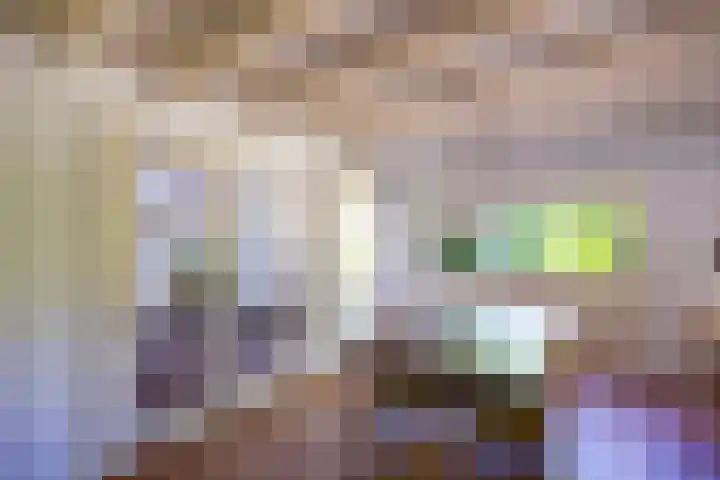 Boudewijnhof 9 Venray thumbnail 10