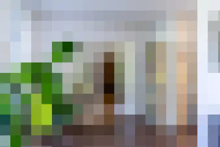 Boudewijnhof 9 Venray thumbnail 12