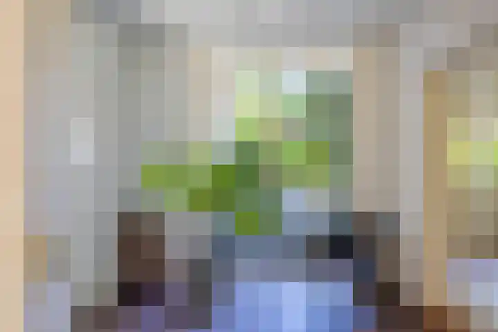 Boudewijnhof 9 Venray thumbnail 13