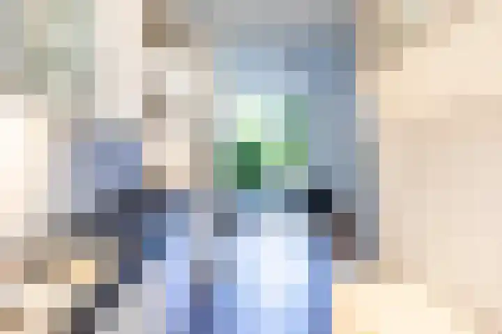 Boudewijnhof 9 Venray thumbnail 14