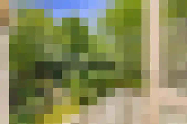 Boudewijnhof 9 Venray thumbnail 24
