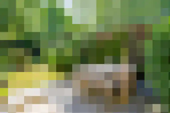 Boudewijnhof 9 Venray thumbnail 29