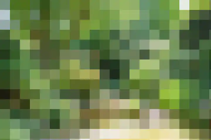 Boudewijnhof 9 Venray thumbnail 30