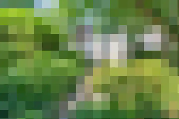 Boudewijnhof 9 Venray thumbnail 31