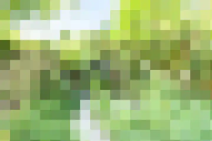 Boudewijnhof 9 Venray thumbnail 33
