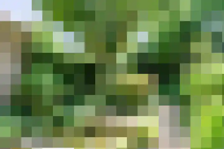 Boudewijnhof 9 Venray thumbnail 34