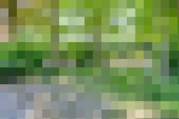 Boudewijnhof 9 Venray thumbnail 37