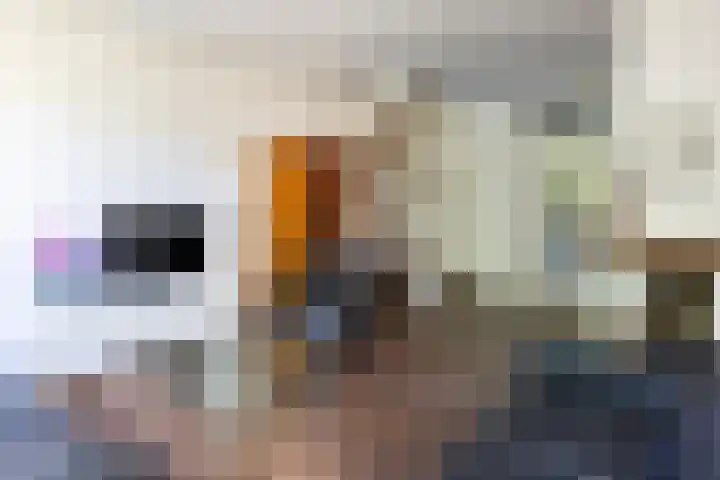 Boudewijnhof 9 Venray thumbnail 5