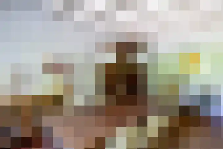 Boudewijnhof 9 Venray thumbnail 9