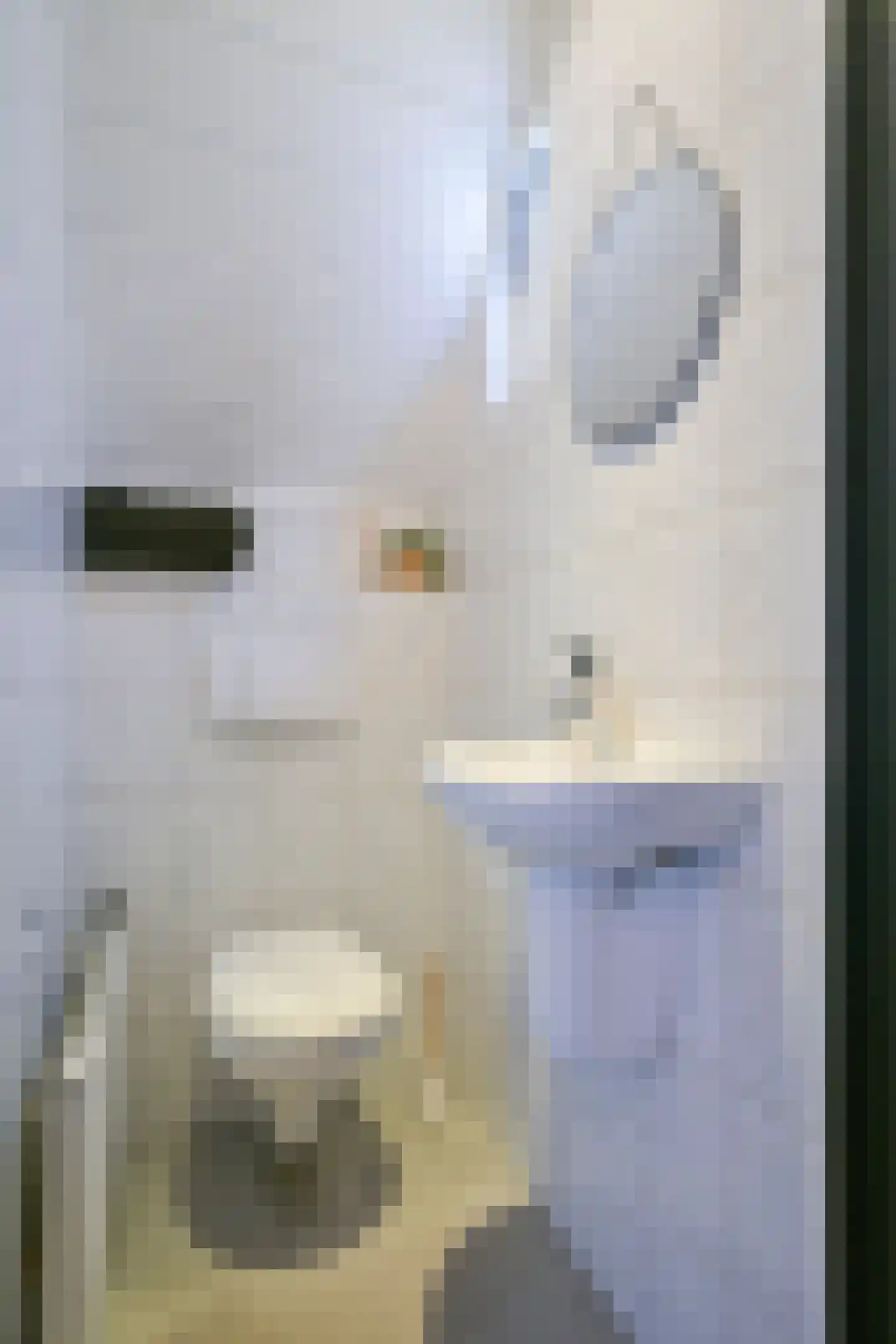 Boudewijnhofstraat 7 Elsloo thumbnail 12