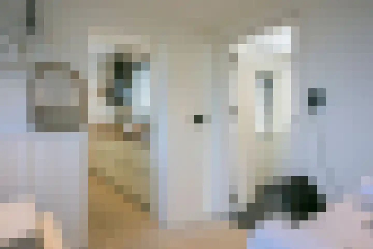 Boudewijnhofstraat 7 Elsloo thumbnail 19
