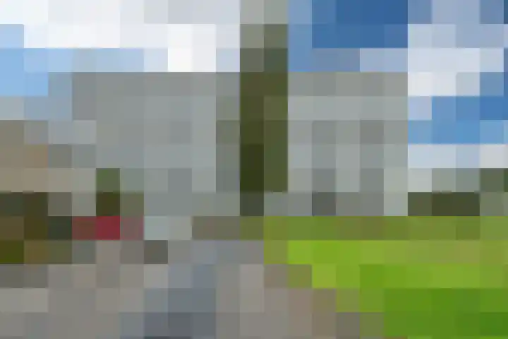Boudewijnstraat 111 Bolsward thumbnail 4