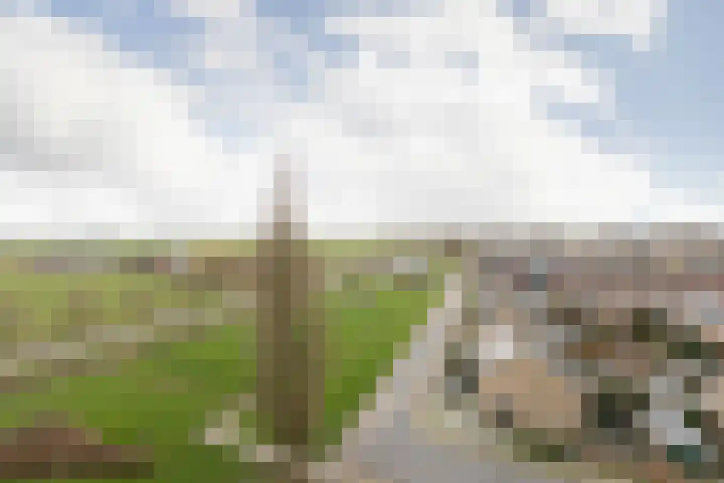 Boudewijnstraat 89 Bolsward thumbnail 12