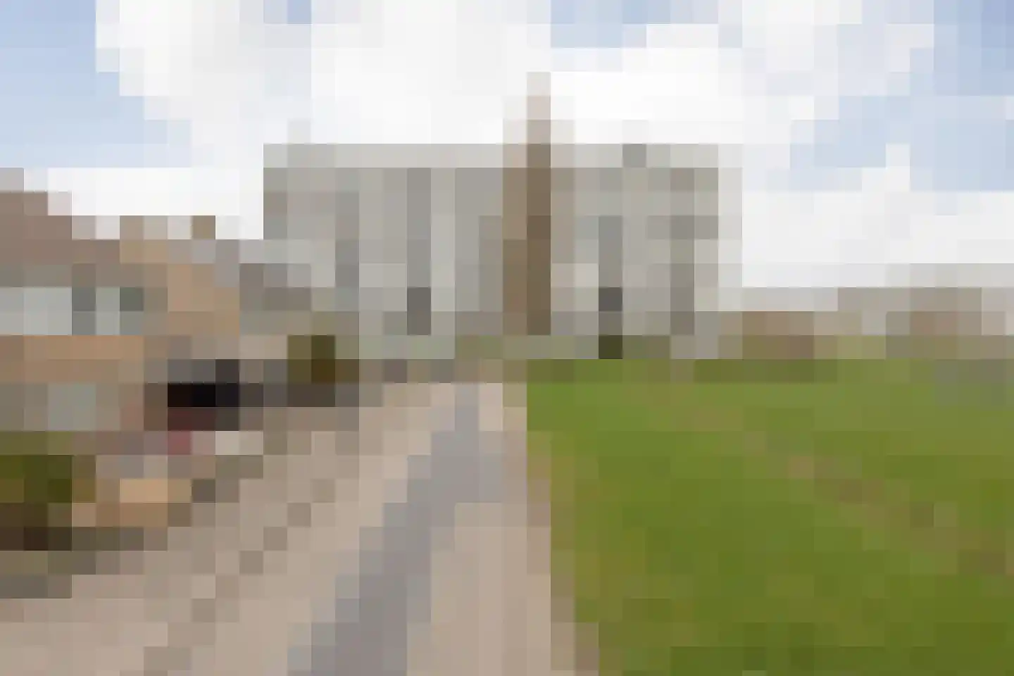 Boudewijnstraat 89 Bolsward thumbnail 29
