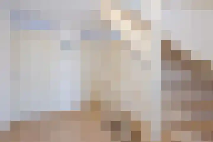 Boudewijnsweg 12 Oene thumbnail 24