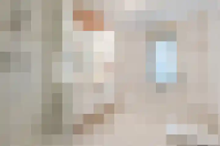 Boudewijnsweg 12 Oene thumbnail 31