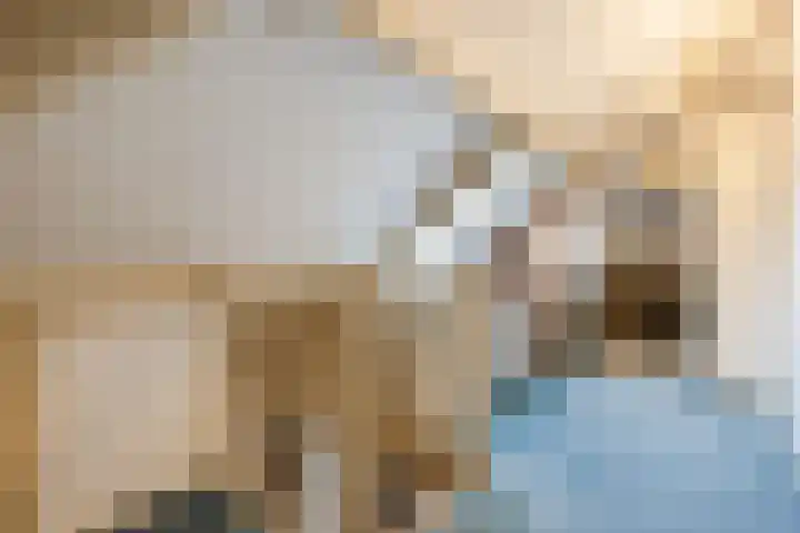 Boudewijnsweg 12 Oene thumbnail 33