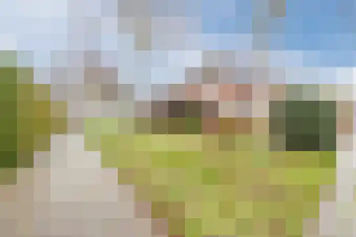 Boudewijnsweg 12 Oene thumbnail 4