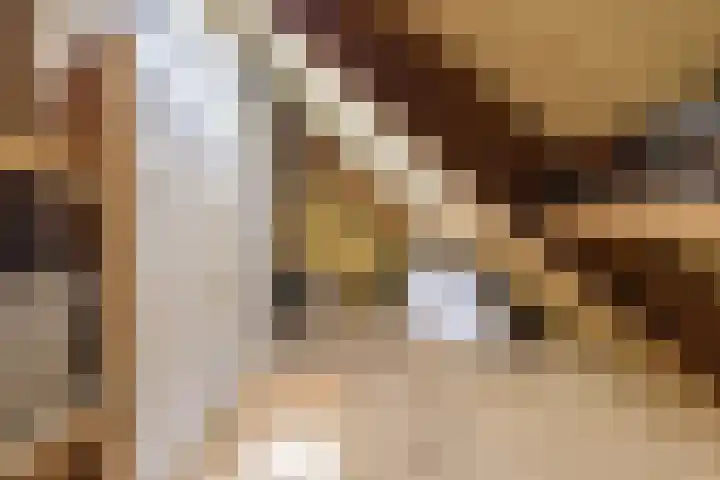 Boudewijnsweg 12 Oene thumbnail 47