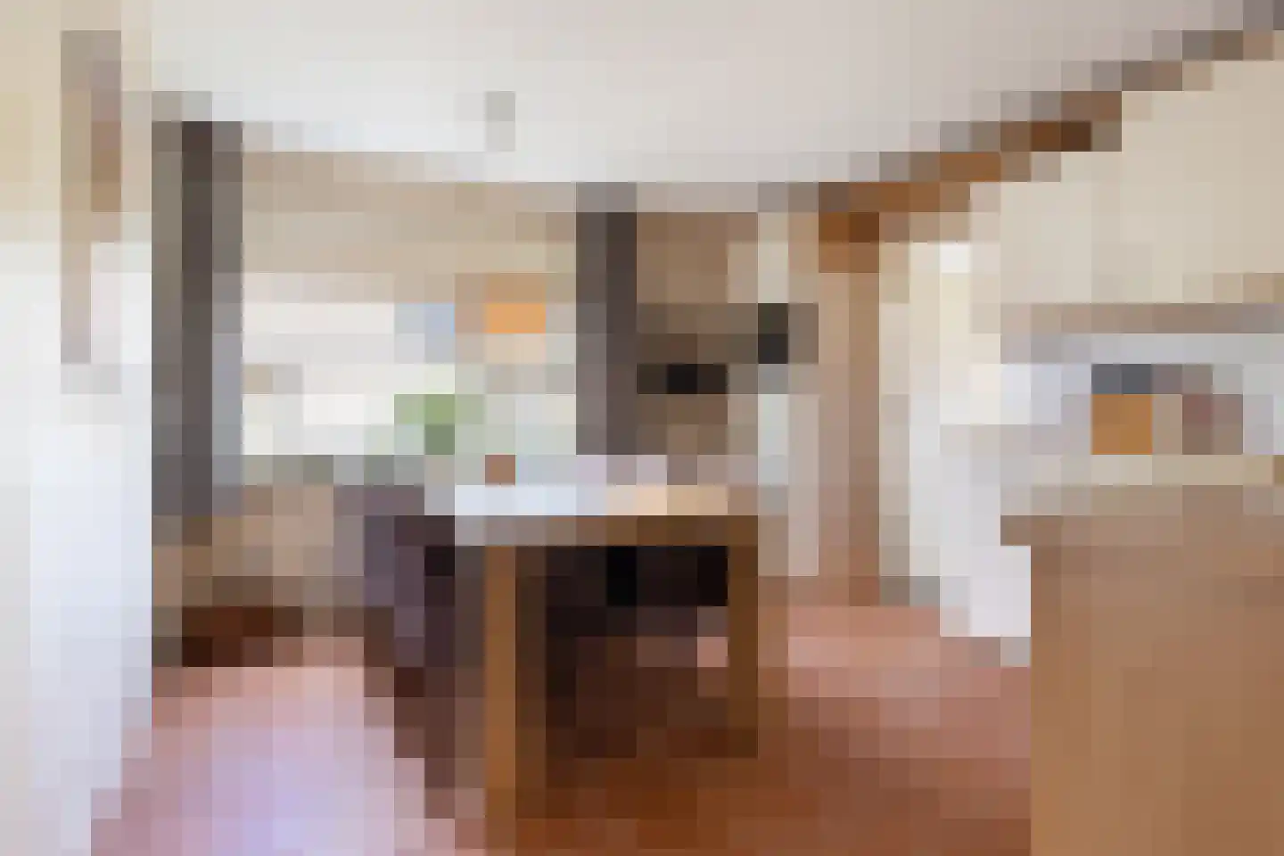 Boudewijnsweg 16 Oene thumbnail 7